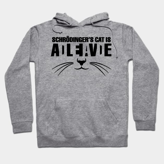 Cat schrodinger funny Hoodie by AsKartongs